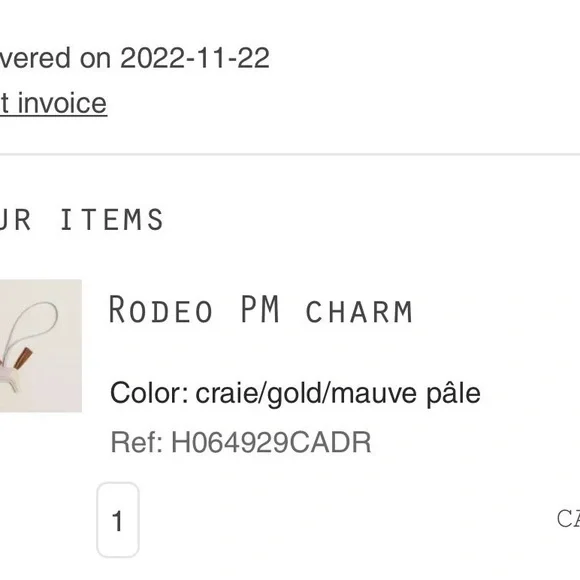 Hermes Rodeo - Picture 2 of 3